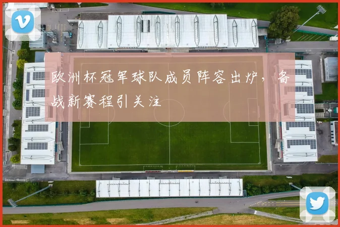 欧洲杯冠军球队成员阵容出炉，备战新赛程引关注