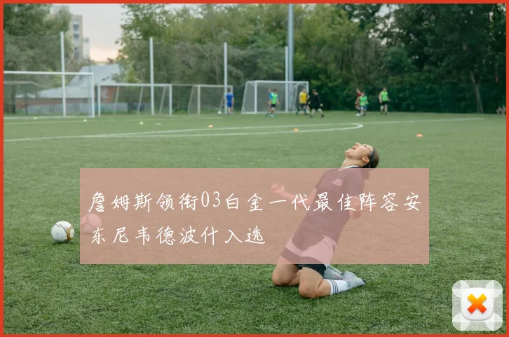 詹姆斯领衔03白金一代最佳阵容安东尼韦德波什入选