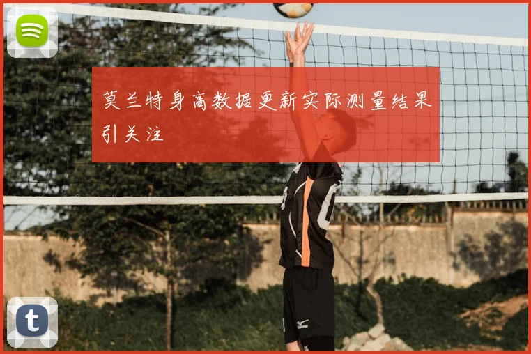 莫兰特身高数据更新实际测量结果引关注