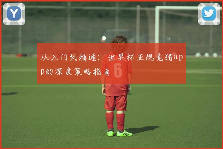 从入门到精通：世界杯正规竞猜app的深度策略指南